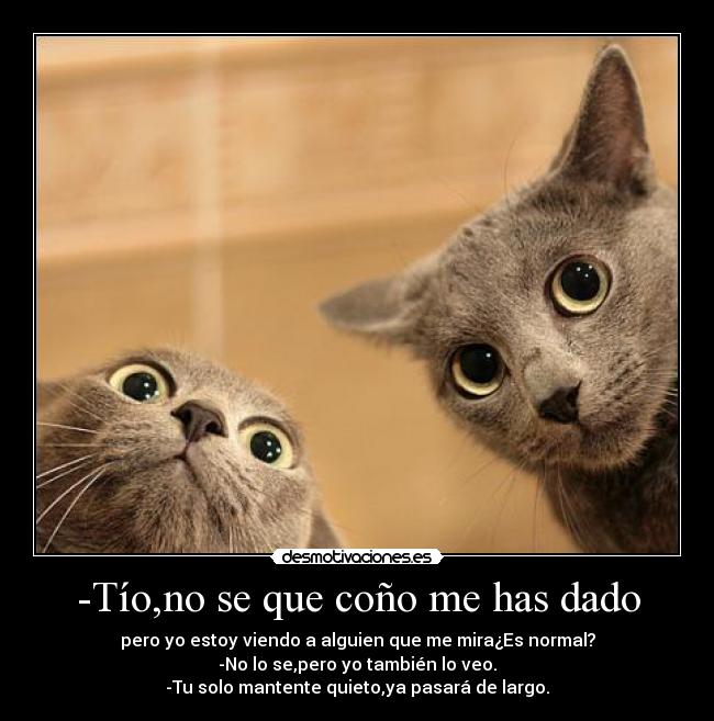 -Tío,no se que coño me has dado - pero yo estoy viendo a alguien que me mira¿Es normal?
-No lo se,pero yo también lo veo.
-Tu solo mantente quieto,ya pasará de largo.