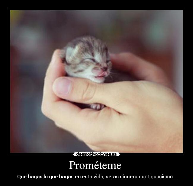 Prométeme  - Que hagas lo que hagas en esta vida, serás sincero contigo mismo...