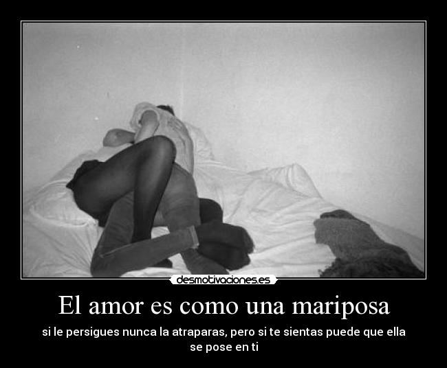 El amor es como una mariposa - si le persigues nunca la atraparas, pero si te sientas puede que ella se pose en ti