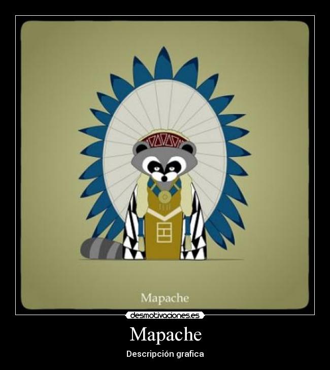 Mapache - Descripción grafica