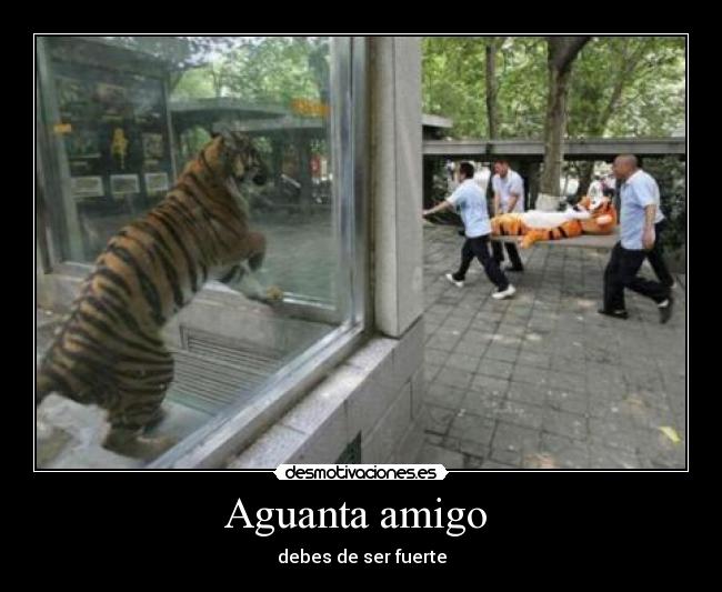 Aguanta amigo - debes de ser fuerte