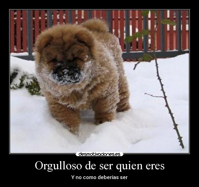 Orgulloso de ser quien eres - Y no como deberías ser