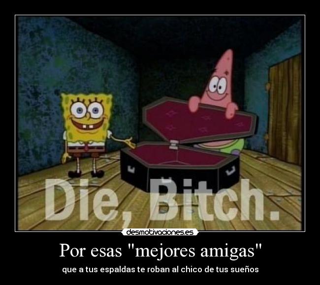 carteles zorra chico suenos amiga falsa desmotivaciones