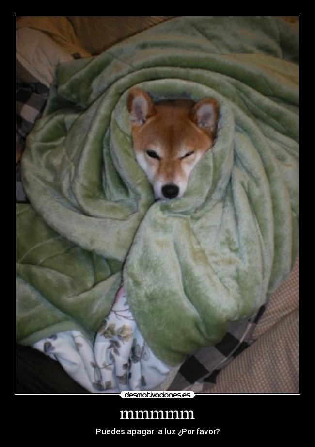 mmmmm - Puedes apagar la luz ¿Por favor?