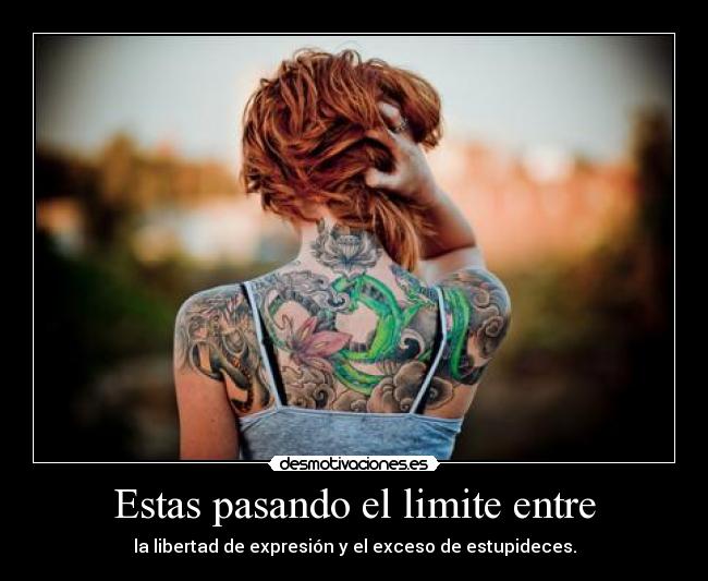 carteles libertad walt_k gatos limite exceso estupideces idiotas gilipollas fail migrana dolor desmotivaciones