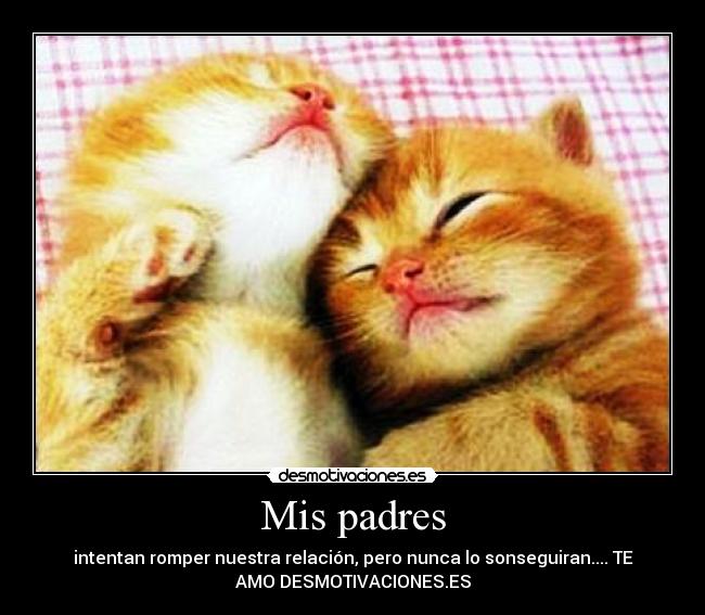 Mis padres - intentan romper nuestra relación, pero nunca lo sonseguiran.... TE
AMO DESMOTIVACIONES.ES