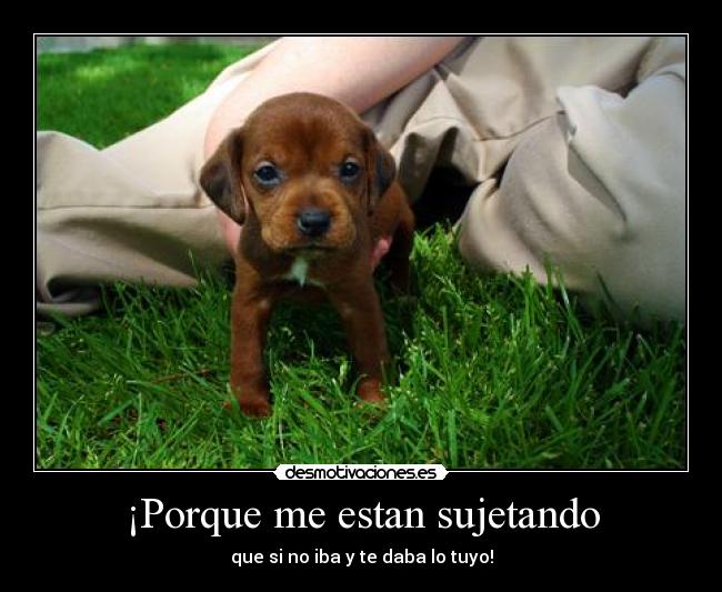 ¡Porque me estan sujetando - 