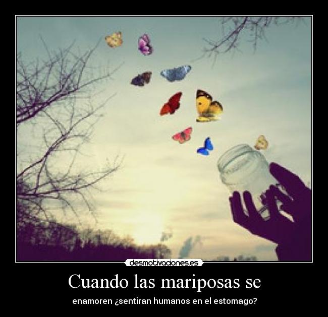 Cuando las mariposas se - enamoren ¿sentiran humanos en el estomago?