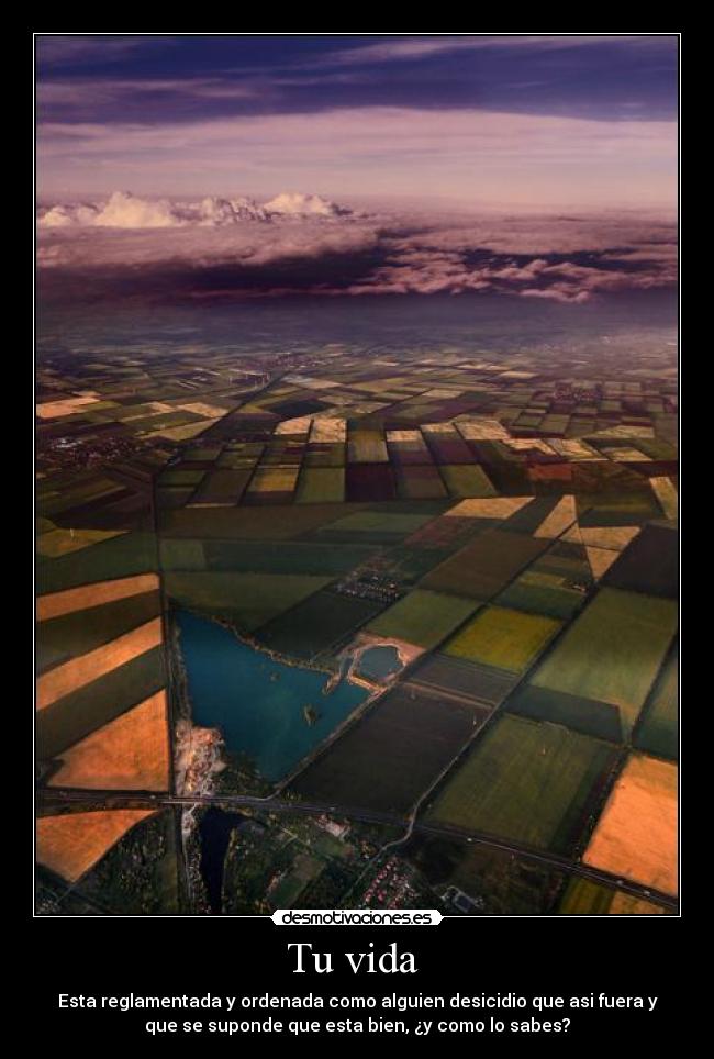 Tu vida - Esta reglamentada y ordenada como alguien desicidio que asi fuera y
que se suponde que esta bien, ¿y como lo sabes?