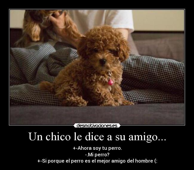Un chico le dice a su amigo... - +-Ahora soy tu perro.
-.Mi perro?
+-Si porque el perro es el mejor amigo del hombre (:♥