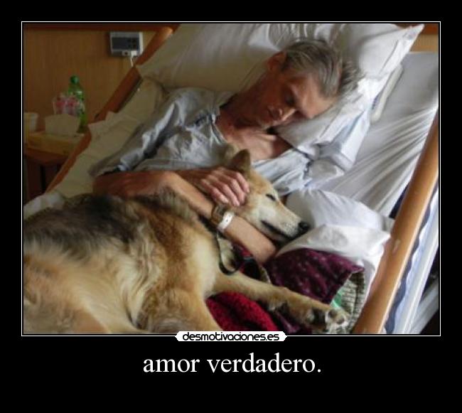 amor verdadero. -