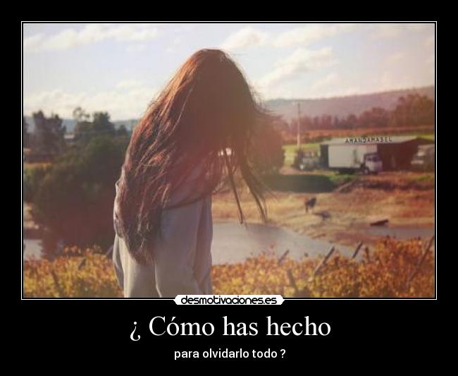 ¿ Cómo has hecho - 