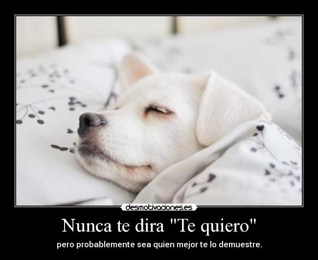 carteles aaaaa desmotivaciones