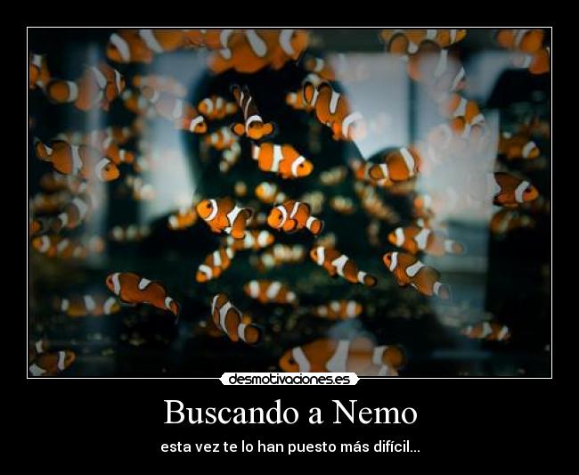Buscando a Nemo - 