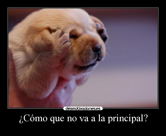 ¿Cómo que no va a la principal? - 