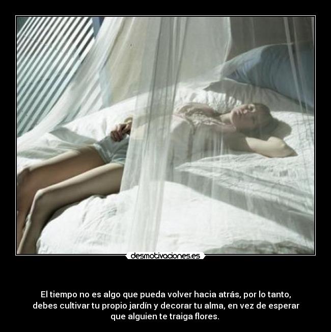 - El tiempo no es algo que pueda volver hacia atrás, por lo tanto,
debes cultivar tu propio jardín y decorar tu alma, en vez de esperar
que alguien te traiga flores.