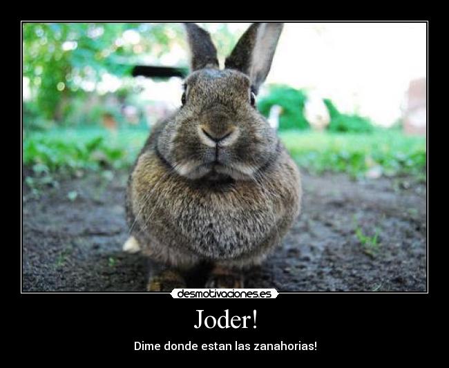 Joder! - Dime donde estan las zanahorias!