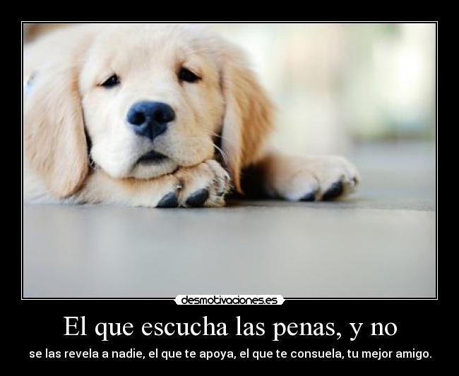 El que escucha las penas, y no - 