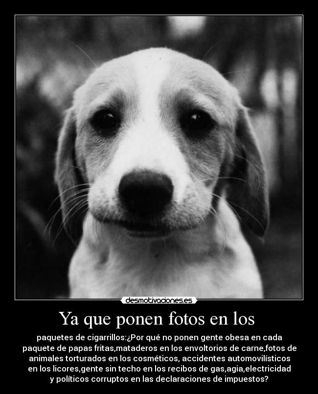 Ya que ponen fotos en los  - 