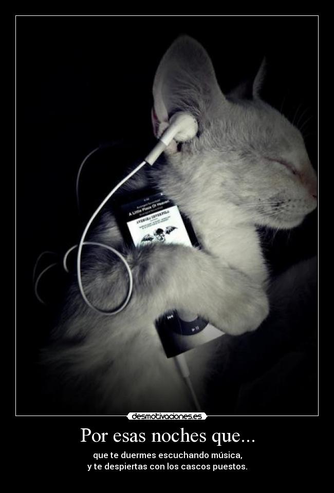 carteles gatos musica noche animales juegos megaglt desmotivaciones