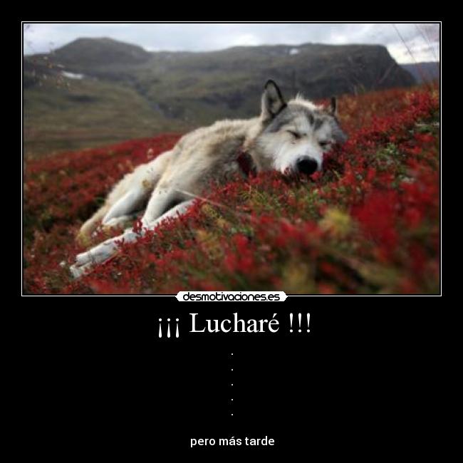 ¡¡¡ Lucharé !!! -