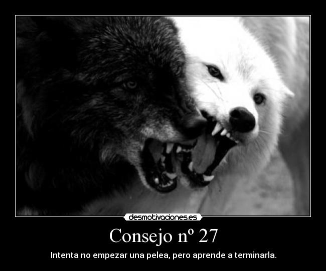 Consejo nº 27 - 