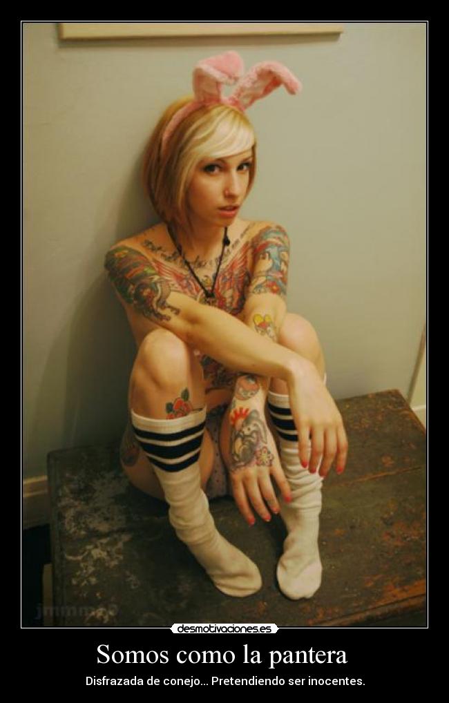 carteles panteras conejos desmotivaciones
