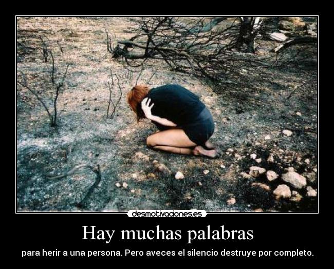 Hay muchas palabras -