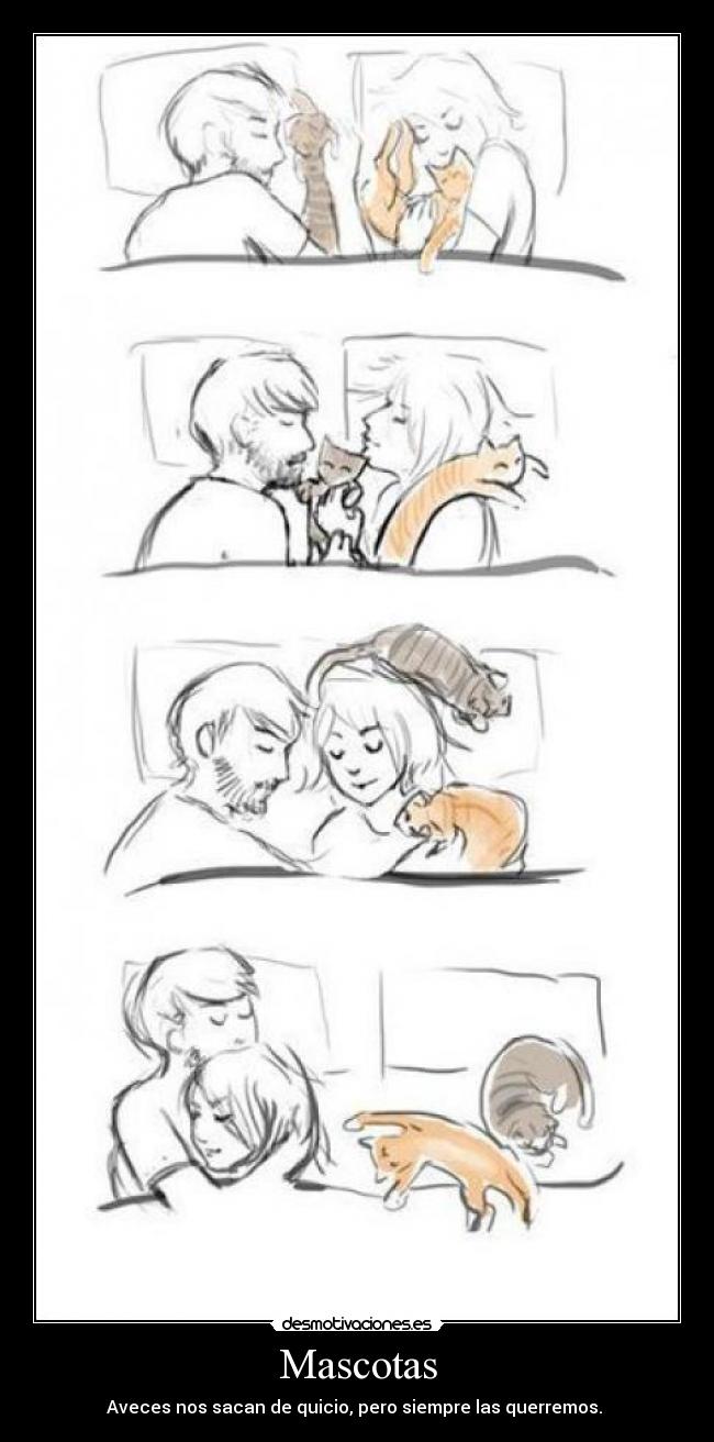 Mascotas - Aveces nos sacan de quicio, pero siempre las querremos. 
