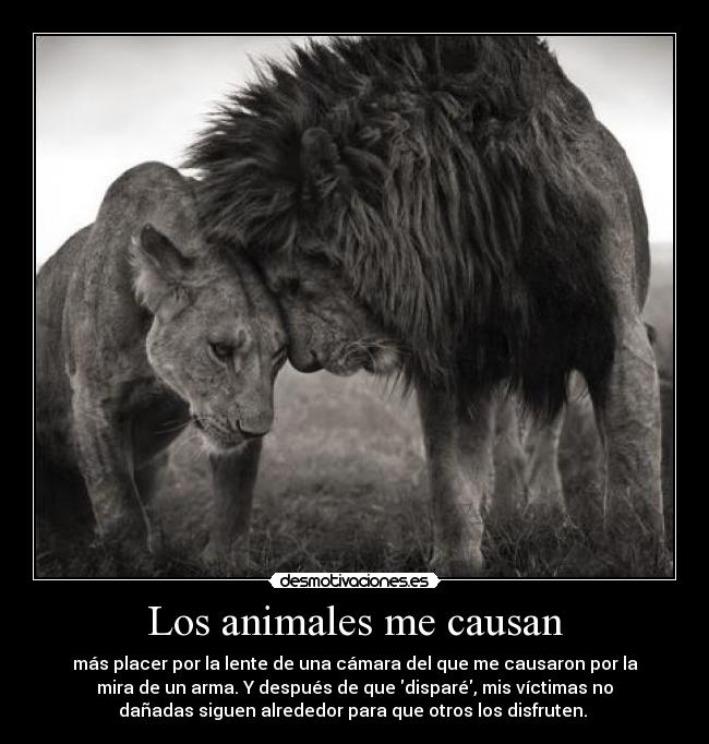 carteles animales etiquetas desmotivaciones