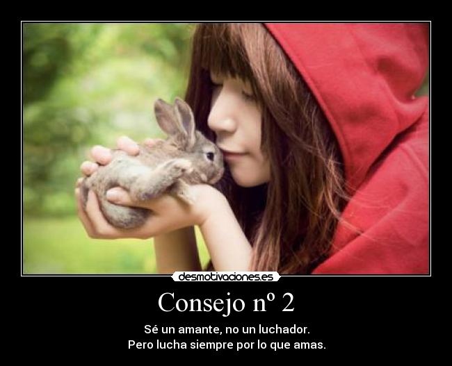 carteles amarlucharchicarojoconejojaponesasiempremorenajaponguapacutekawaiiconsejoconsejos desmotivaciones