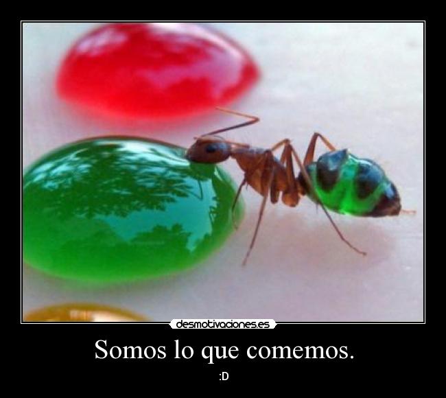 Somos lo que comemos. -