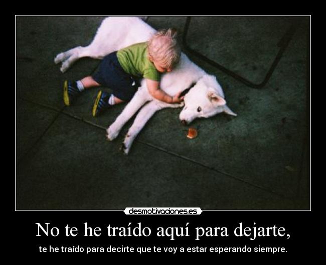 No te he traído aquí para dejarte, -