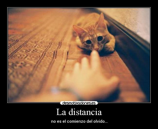 La distancia -