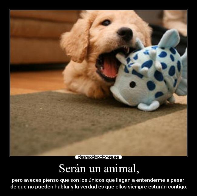 Serán un animal, - 