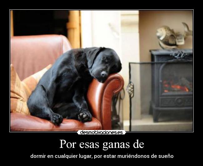 Por esas ganas de - dormir en cualquier lugar, por estar muriéndonos de sueño