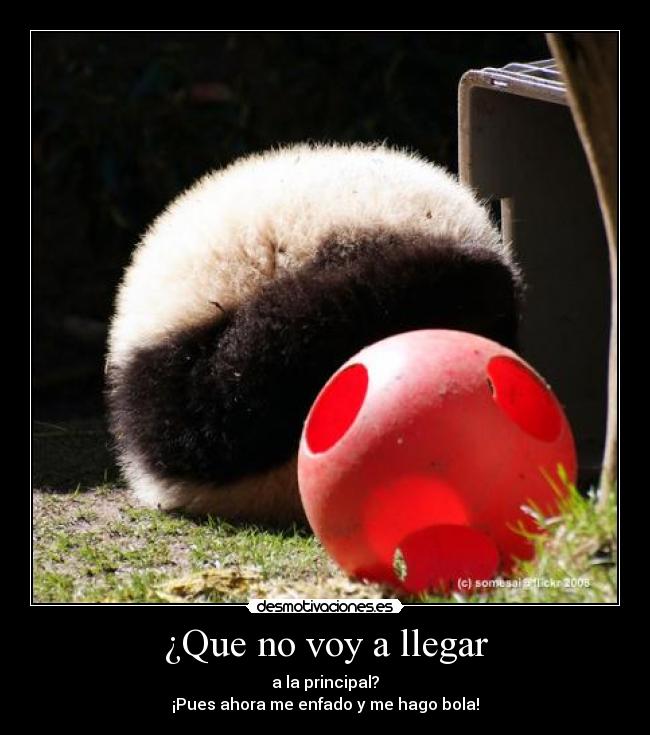 ¿Que no voy a llegar - a la principal?
¡Pues ahora me enfado y me hago bola!