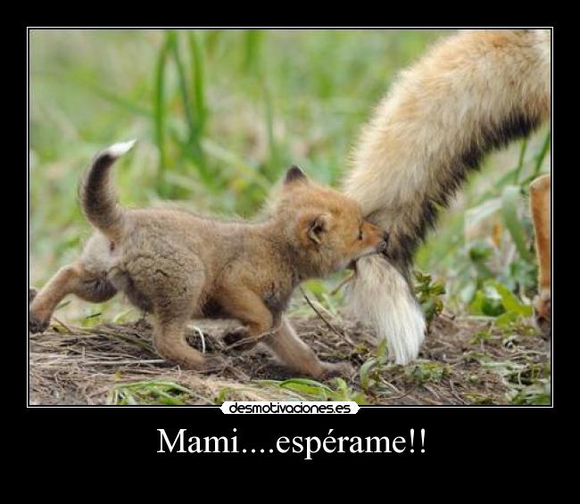 Mami....espérame!! -