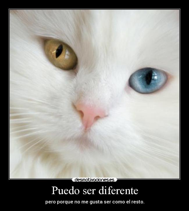 Puedo ser diferente -