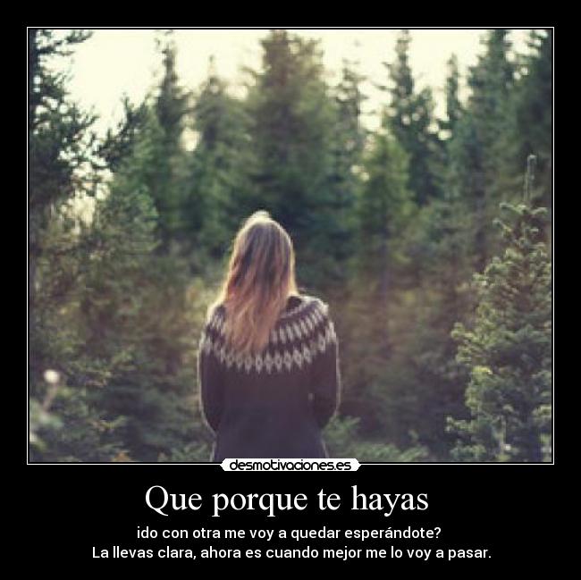 Que porque te hayas  - 