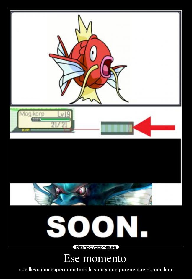 carteles joder ahora con esto que ven las etiquetas verguenza poner algo que rian desmotivaciones