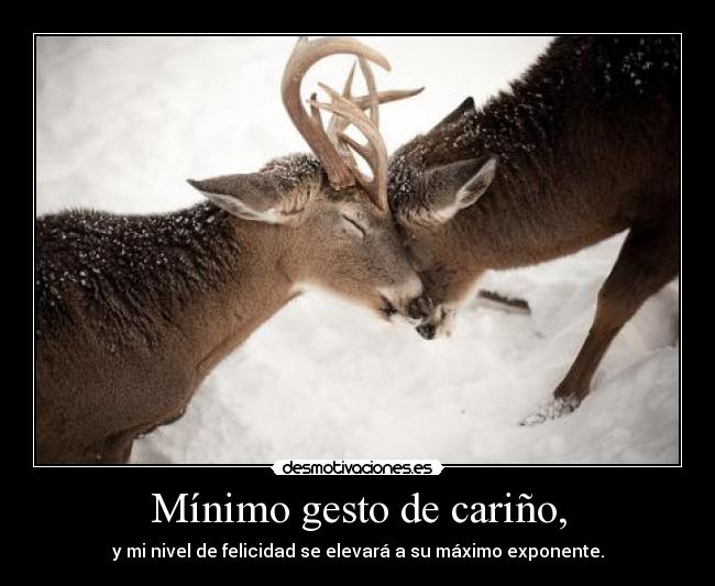 Mínimo gesto de cariño, - y mi nivel de felicidad se elevará a su máximo exponente.