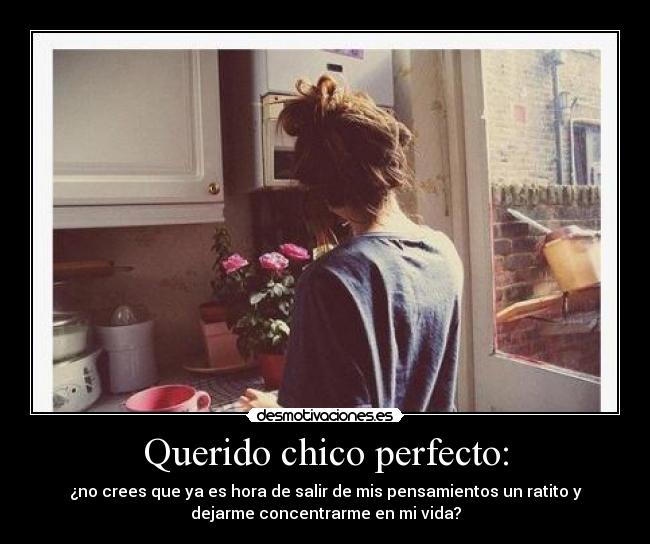 Querido chico perfecto: - 