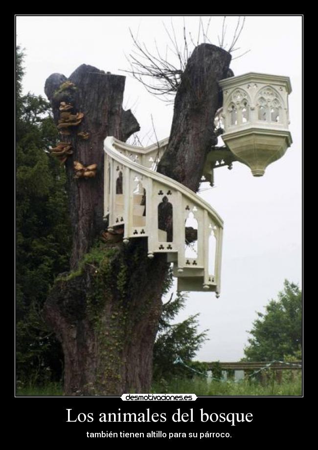 Los animales del bosque - también tienen altillo para su párroco.