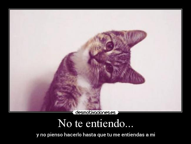 No te entiendo... -