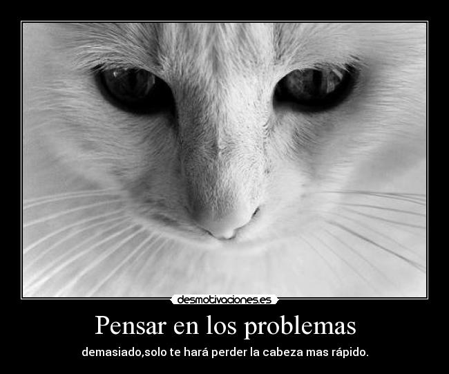 Pensar en los problemas - 