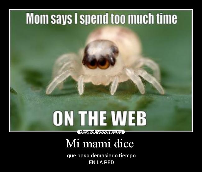 Mi mami dice -