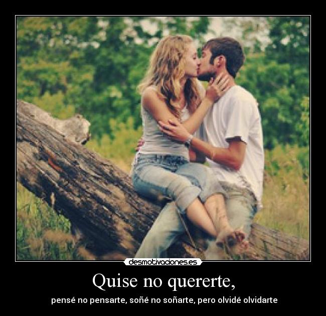 Quise no quererte, -  pensé no pensarte, soñé no soñarte, pero olvidé olvidarte