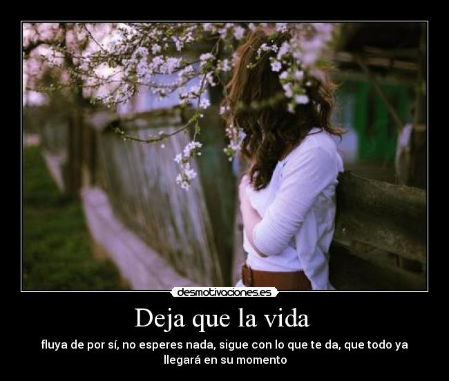 carteles vida vida desmotivaciones