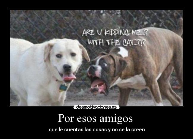 Por esos amigos  - que le cuentas las cosas y no se la creen